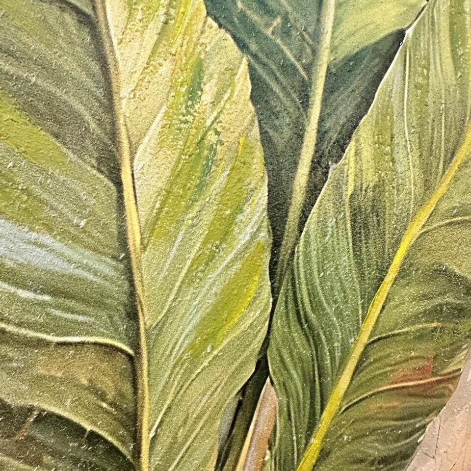 Altın Kanat Kelebek & Tropikal Yaprak 3’lü Tablo Seti